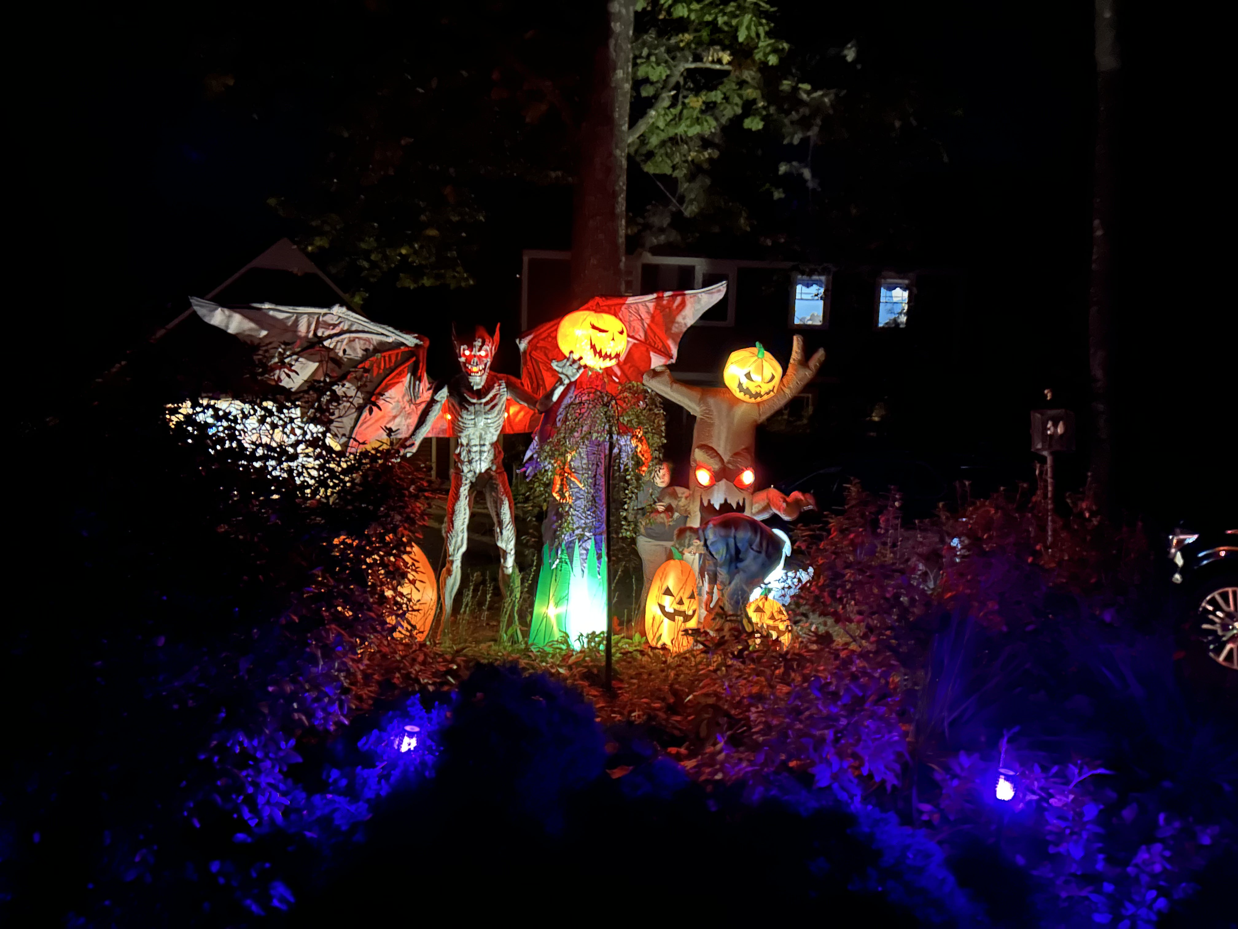 Slideshow Image 1
