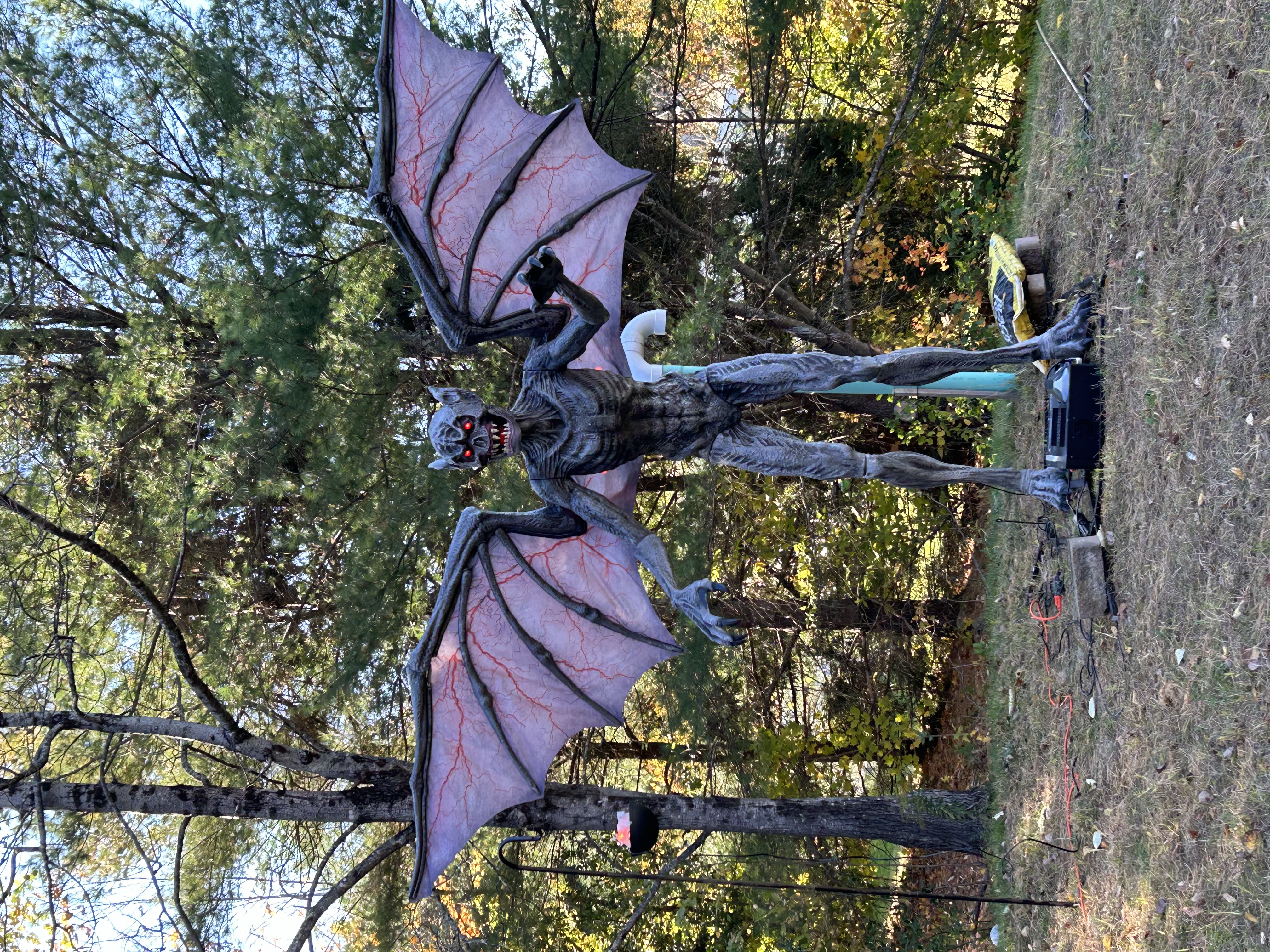 Slideshow Image 2